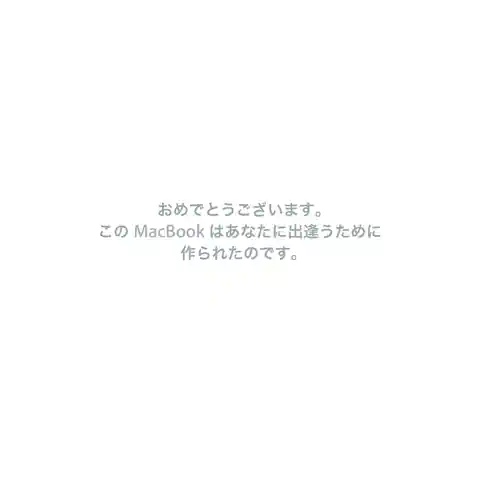 appleアップルMacBook (13インチ, Late 2006)
